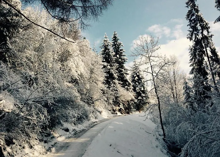 Kozia Grapka בקתה